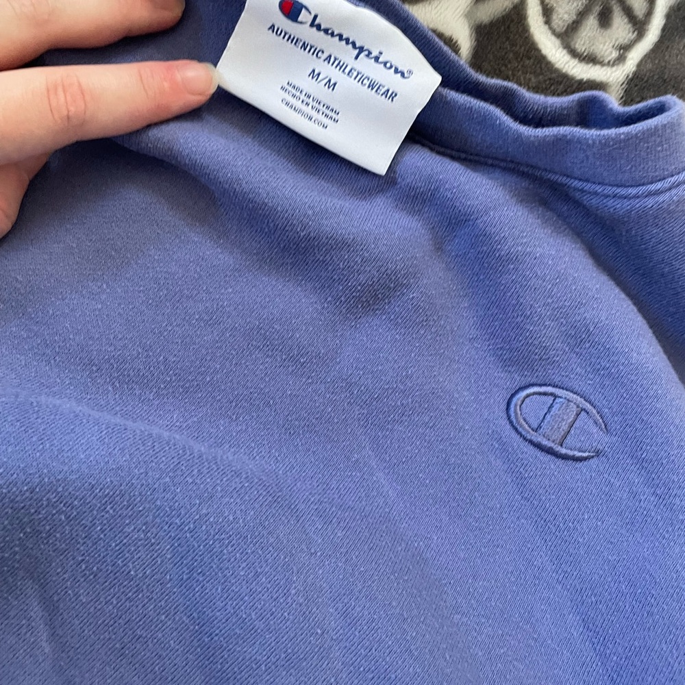 Champion Men's Classic Blue Crewneck Sweater